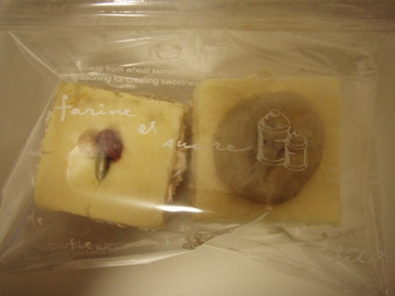 sap_b022.jpg
