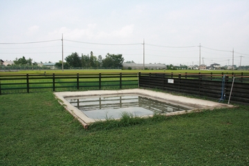 sap_b074.jpg