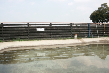 sap_b075.jpg