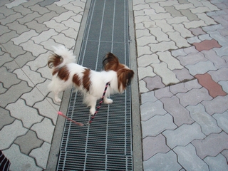 sap_b089.jpg