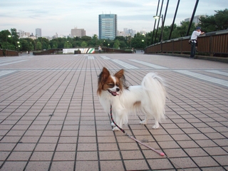 sap_b090.jpg