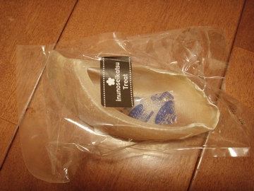 sap_b092.jpg