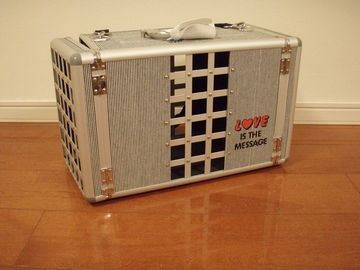 sap_b124.jpg